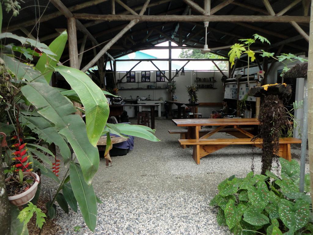 Cabinas Tropicales Puerto Jiménez Kültér fotó
