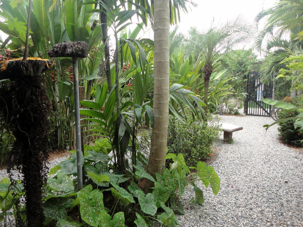 Cabinas Tropicales Puerto Jiménez Kültér fotó