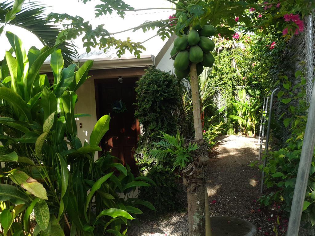 Cabinas Tropicales Hotel Puerto Jiménez Kültér fotó