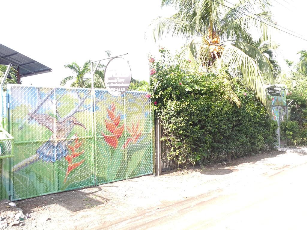 Cabinas Tropicales Puerto Jiménez Kültér fotó