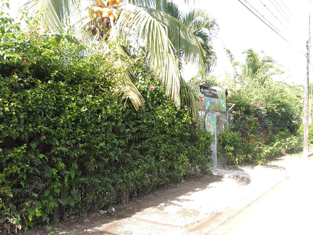Cabinas Tropicales Puerto Jiménez Kültér fotó