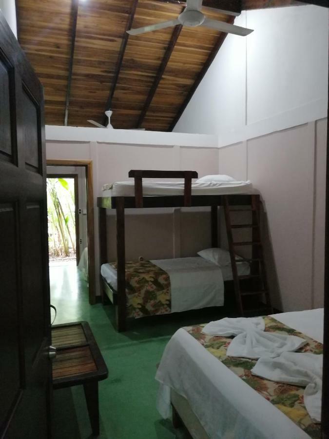 Cabinas Tropicales Puerto Jiménez Kültér fotó
